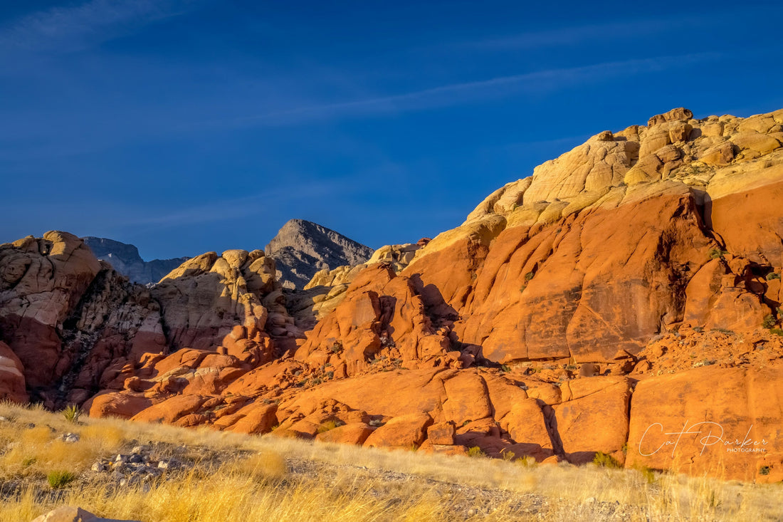 Top and Best Presentation Design Agencies and Companies in Spearfish, South Dakota