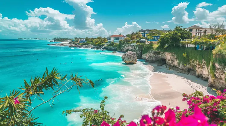 Top 5 Website Design Agencies in Barbados