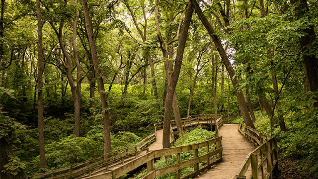 Top or Best Facebook Management Agencies and Companies in Bellevue, Nebraska