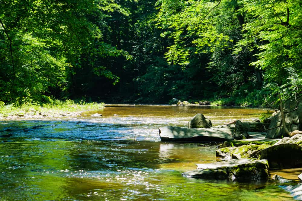 Top or Best Flyer Design Agencies and Companies in Elsmere, Delaware