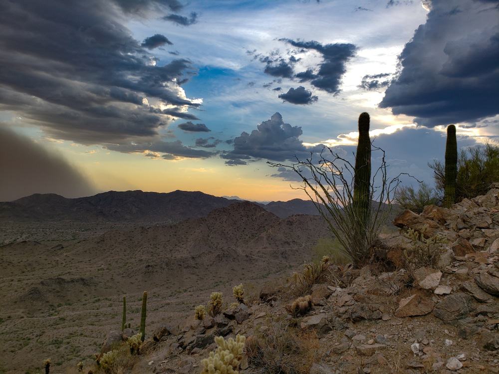 Top or Best Presentation Design Agencies and Companies in Buckeye, Arizona