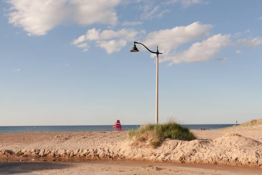 Top or Best Cartoon and Comic Agencies and Companies in Gary, Indiana