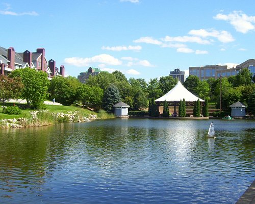 Top or Best Cartoons and Comics Agencies and Companies in Edina, Minnesota