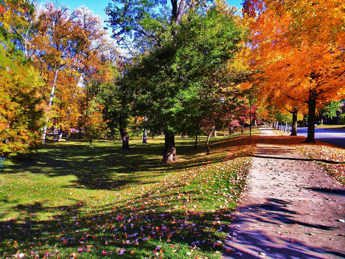 Top or Best Direct Mail Design Agencies and Companies in Ashland, Kentucky
