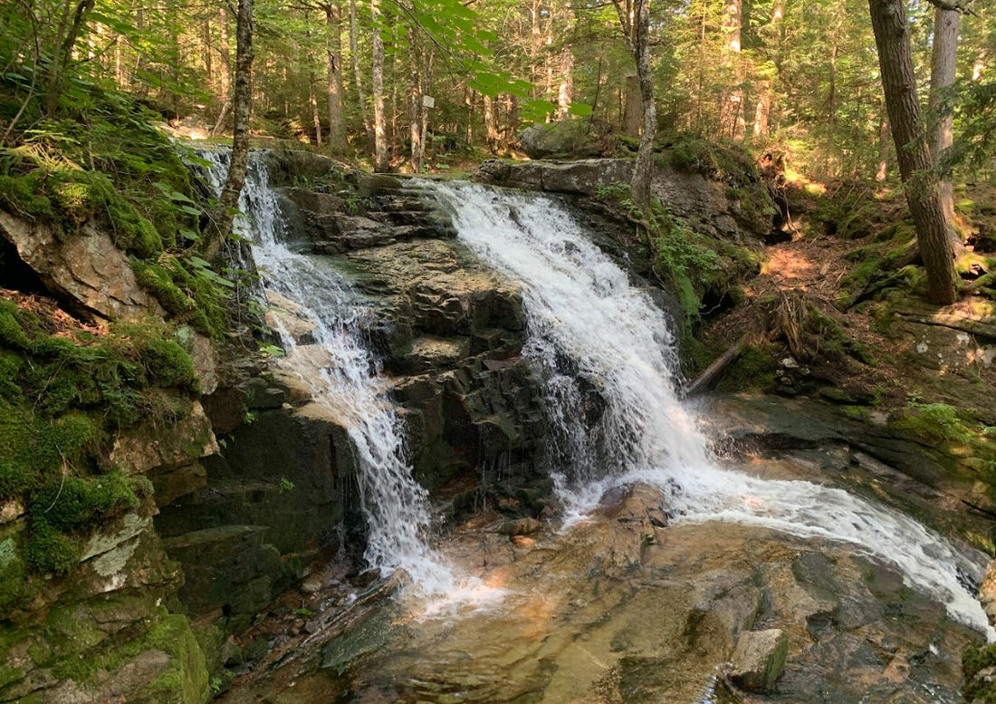 Top or Best Email Campaign Design Agencies and Companies in Milford, New Hampshire