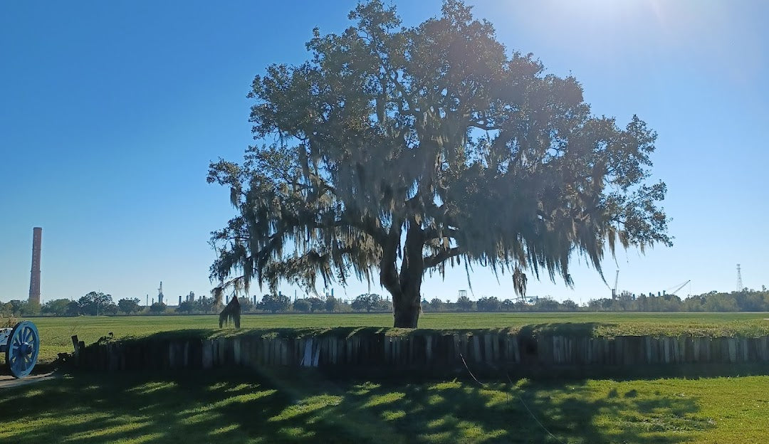 Top or Best NFT Art Agencies and Companies in Chalmette, Louisiana