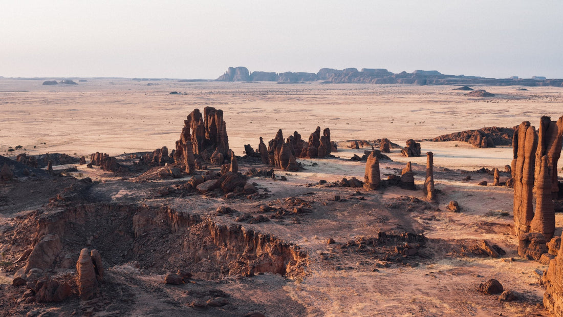 Top or Best Influencer Agency for Chadian Influencers