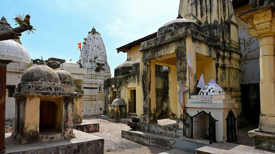 Top or Best Athlete Management Agencies and Companies in Vadodara, India