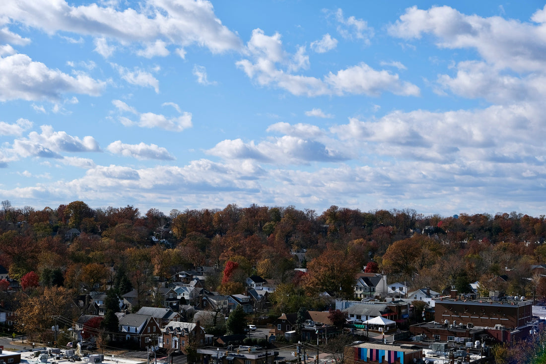 Top or Best Animation and Motion Graphics Agencies and Companies in Middletown, New Jersey