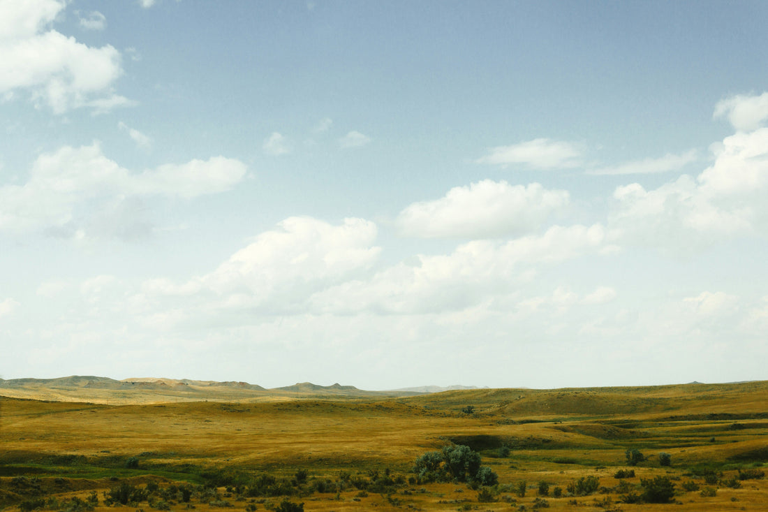 Top or Best YouTube Management Agencies and Companies in Emporia, Kansas