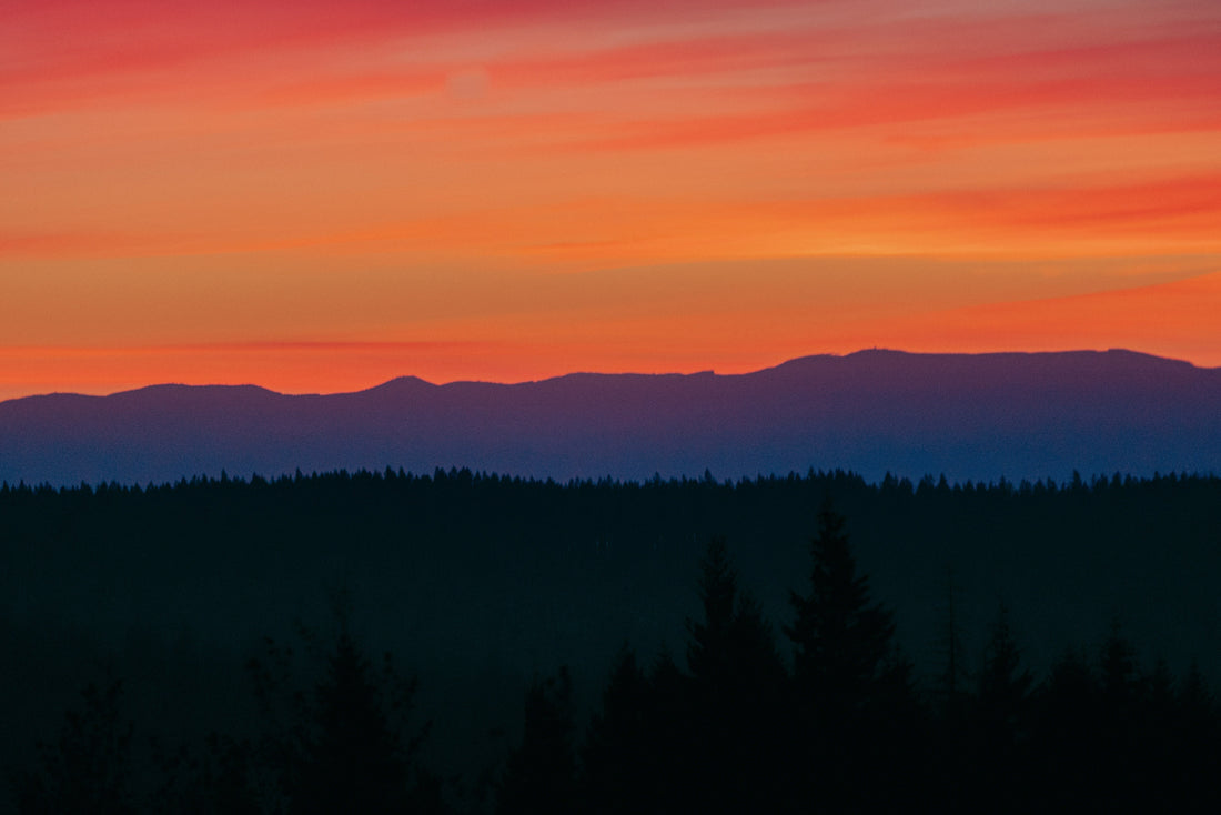 Top or Best Social Media Design Agencies and Companies in Springfield, Oregon
