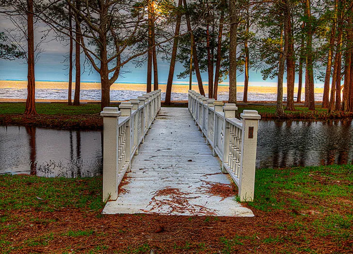 Top or Best Poster Design Agencies and Companies in Spanish Fort, Alabama