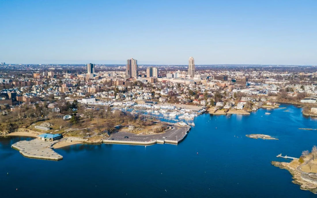 Top or Best X (Twitter) Management Agencies and Companies in New Rochelle, New York