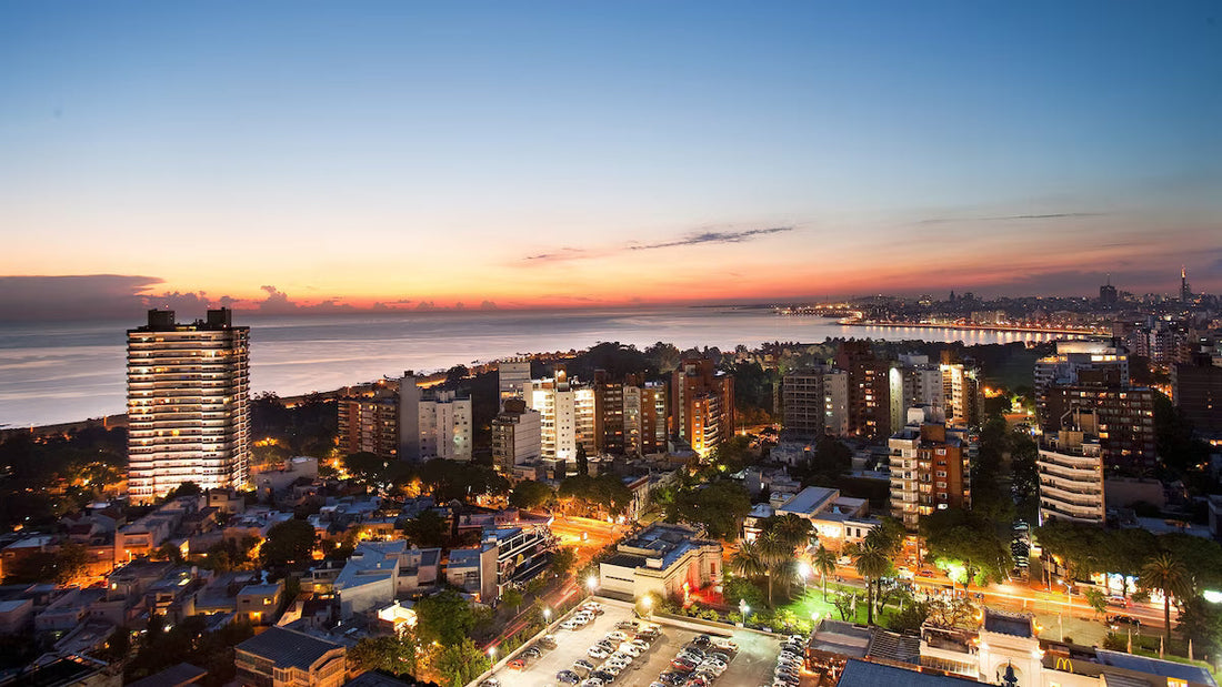 Top or Best Influencer Agency for Uruguayan Brands