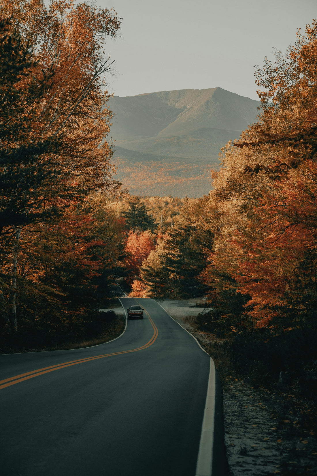 Top and Best Photo Editing Agencies and Companies in Roanoke, Virginia