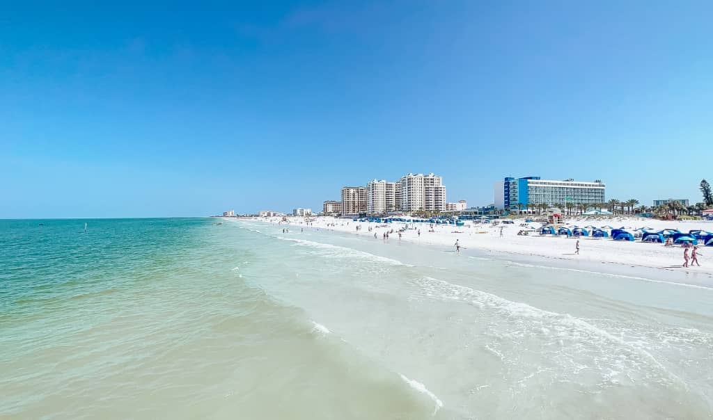 Top or Best NFT Art Agencies and Companies in Clearwater, Florida