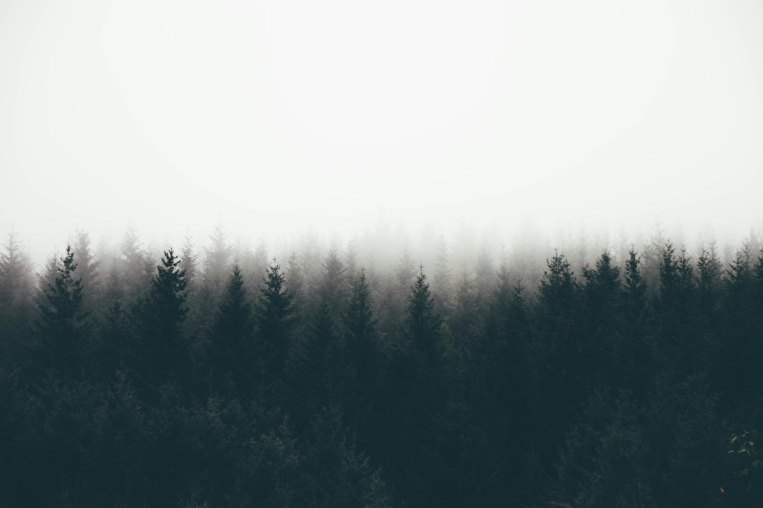 Top and Best App UI/UX Design Agencies and Companies in Rapid Valley, South Dakota