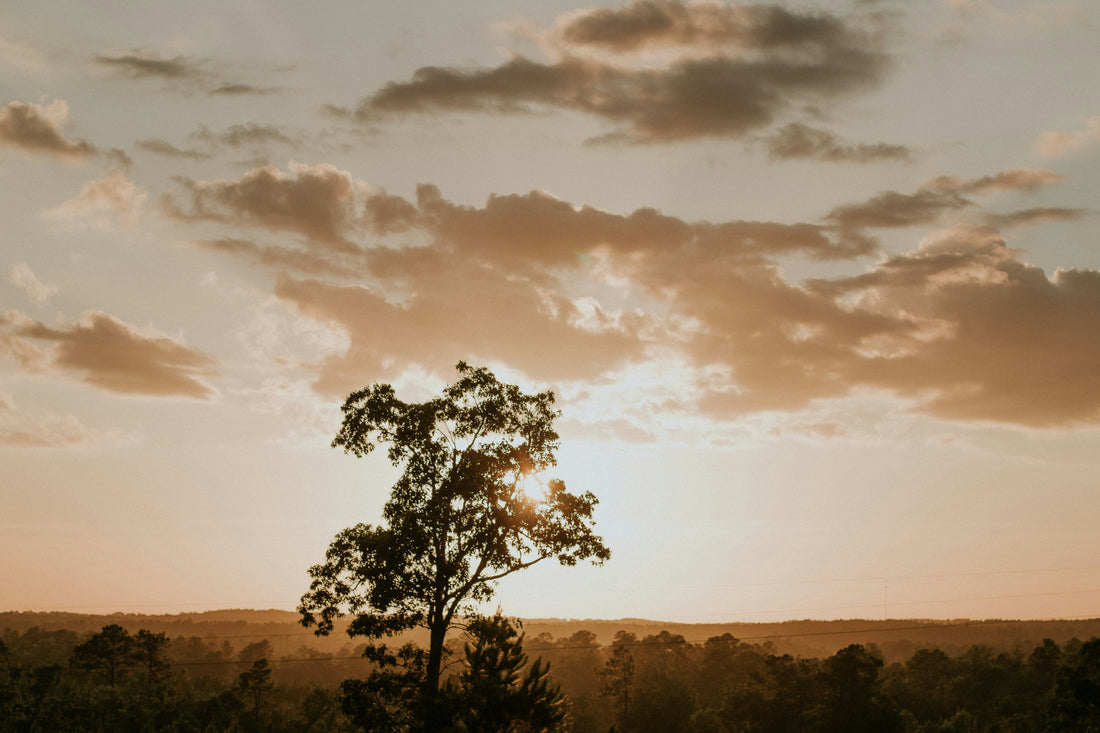 Top or Best Web and Mobile Design Agencies and Companies in Madison, Mississippi