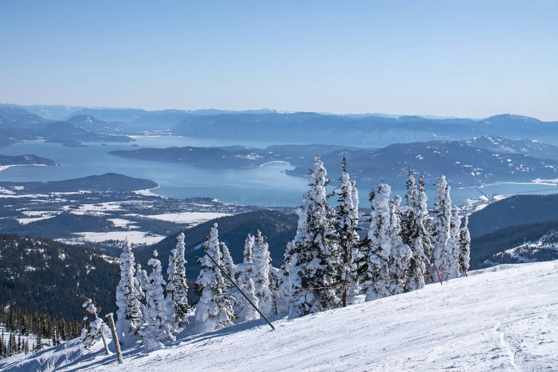 Top or Best YouTube Management Agencies and Companies in Hayden, Idaho