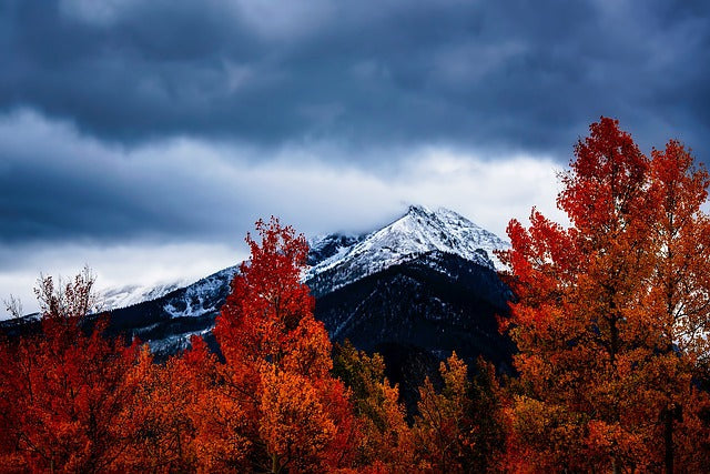 Top 5 Catalog Design Agencies in Colorado