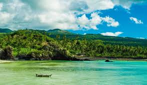 Best Twitch Management Companies in Comoros