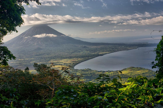 Top 5 Drawing and Illustration Agencies in Nicaragua