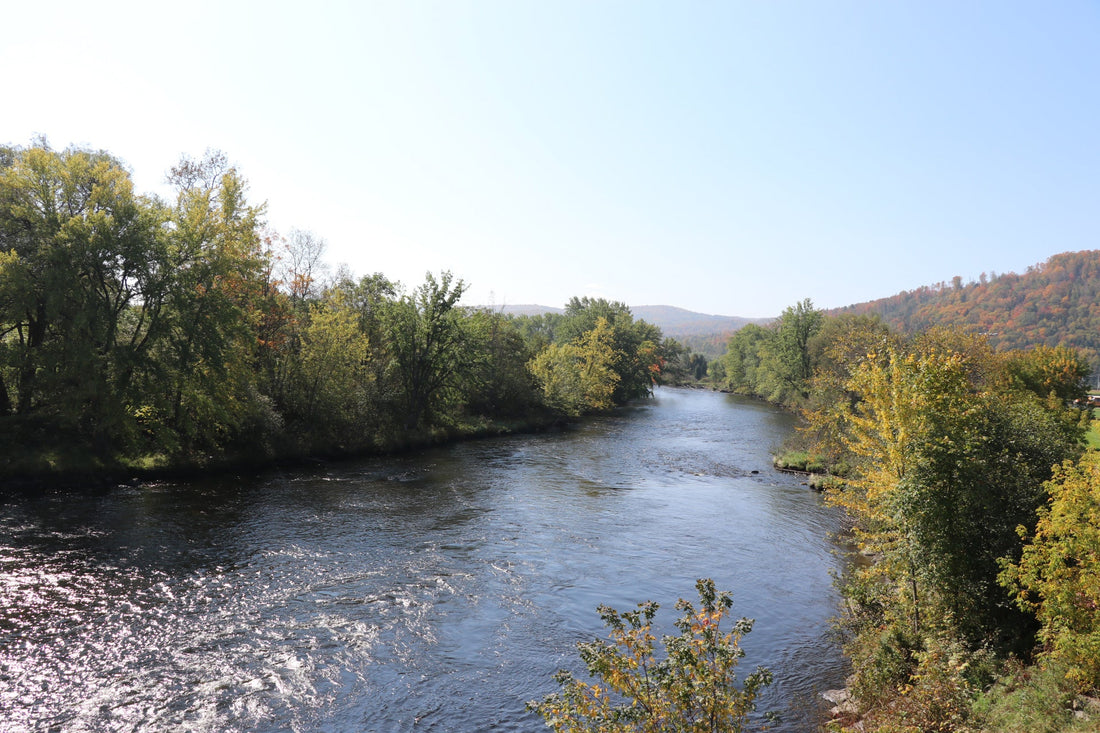 Top or Best TikTok Management Agencies and Companies in Bedford, New Hampshire