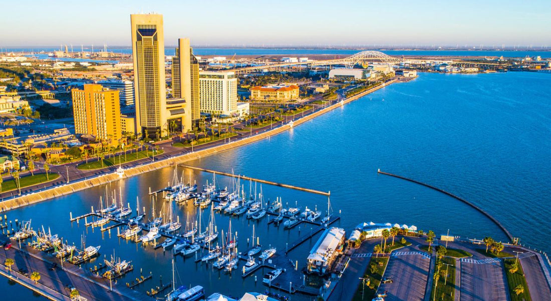 Top or Best Web &amp; Mobile Design Agencies and Companies in Corpus Christi, Texas