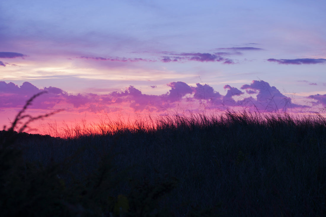 Top and Best Portrait and Caricature Agencies and Companies in Vermillion, South Dakota