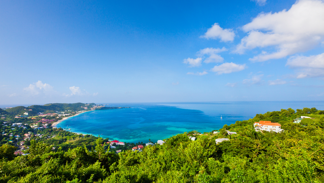 Top or Best Athlete Management Agencies and Companies in Grenada