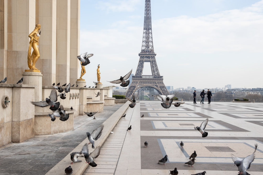 Top or Best Influencer Brand Collaboration Agencies and Companies in Paris, France