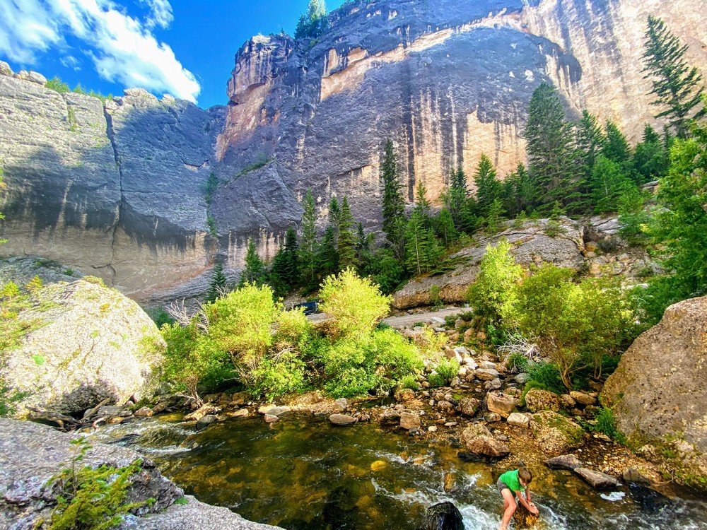 Top or Best X (Twitter) Management Agencies and Companies in Buffalo, Wyoming