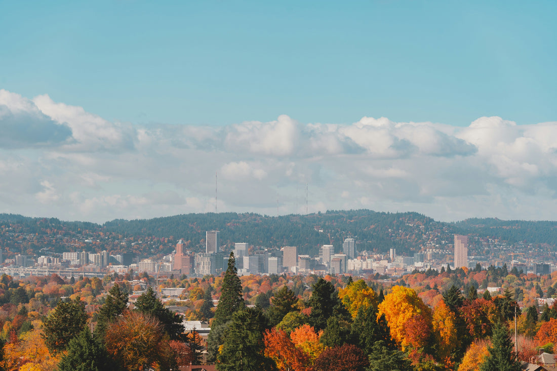 Top and Best Menu Design Agencies and Companies in Portland, Oregon