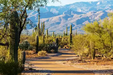 Top or Best Direct Mail Design Agencies and Companies in Phoenix, Arizona