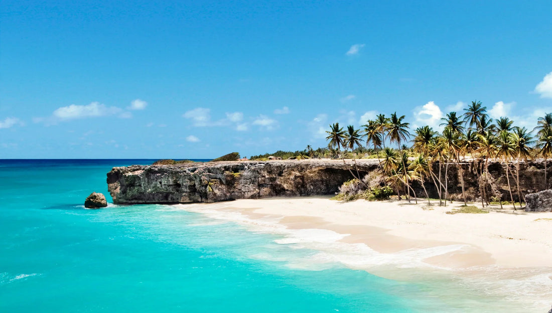 Top or Best Athlete Brand Partnership Agencies and Companies in Barbados