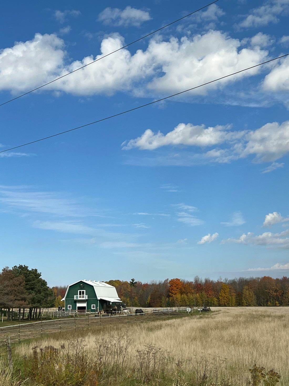 Top and Best Virtual Background Design Agencies and Companies in Suffolk, Virginia