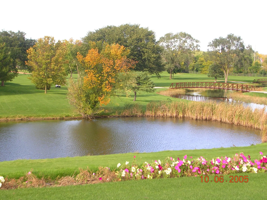 Top or Best X (Twitter) Management Agencies and Companies in Arlington Heights, Illinois