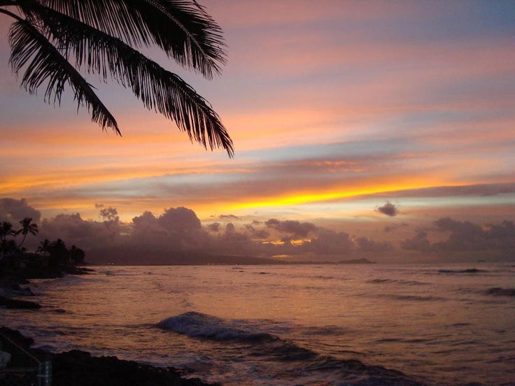 Top or Best Catalog Design Agencies and Companies in Ewa Gentry, Hawaii