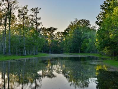 Top or Best Storyboards Agencies and Companies in Houma, Louisiana