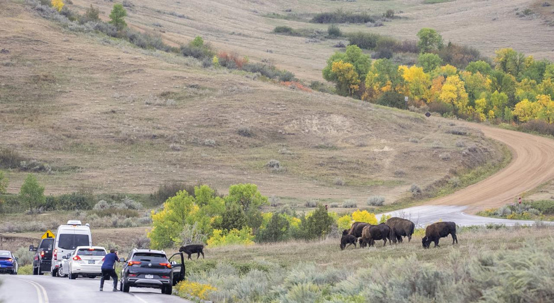 Top or Best Twitch Management Agencies and Companies in New Town, North Dakota