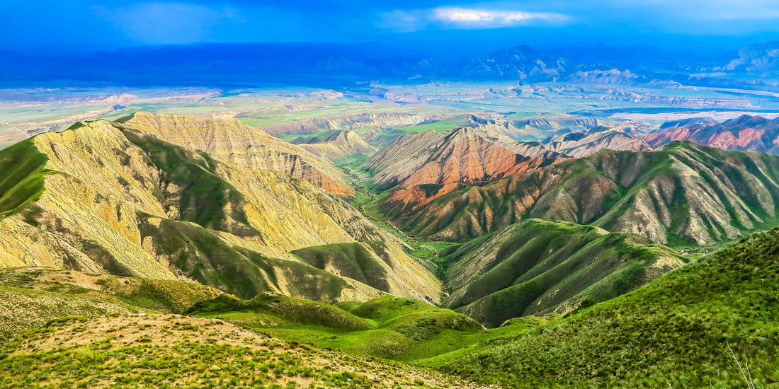 Top or Best Athlete Management Agencies and Companies in Uzbekistan