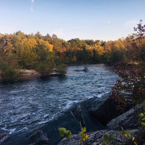 Top or Best Instagram Management Agencies and Companies in Eau Claire, Wisconsin