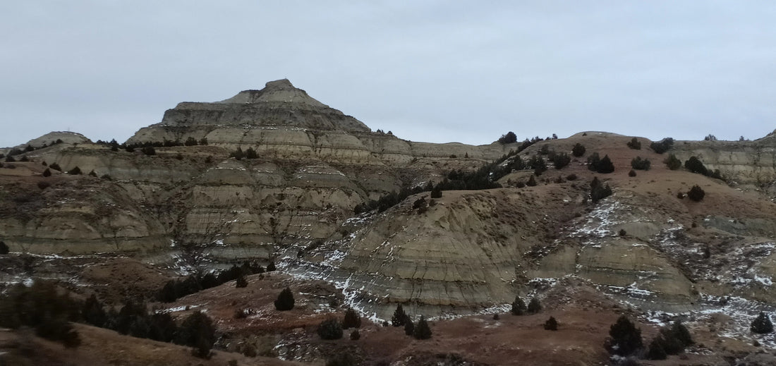 Top or Best Infographic Design Agencies and Companies in Watford City, North Dakota