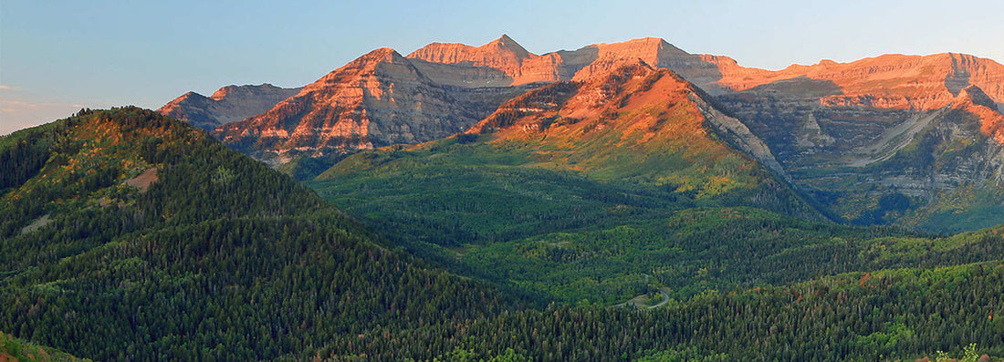 Top and Best Direct Mail Design Agencies and Companies in Provo, Utah