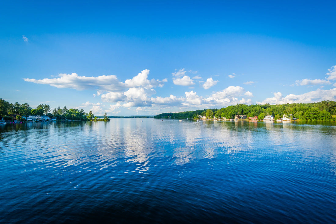 Top or Best TikTok Management Agencies and Companies in Laconia, New Hampshire