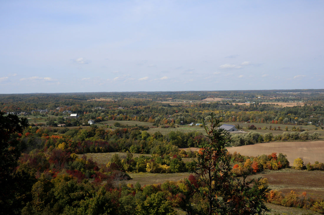 Top and Best YouTube Management Agencies and Companies in Oshkosh, Wisconsin