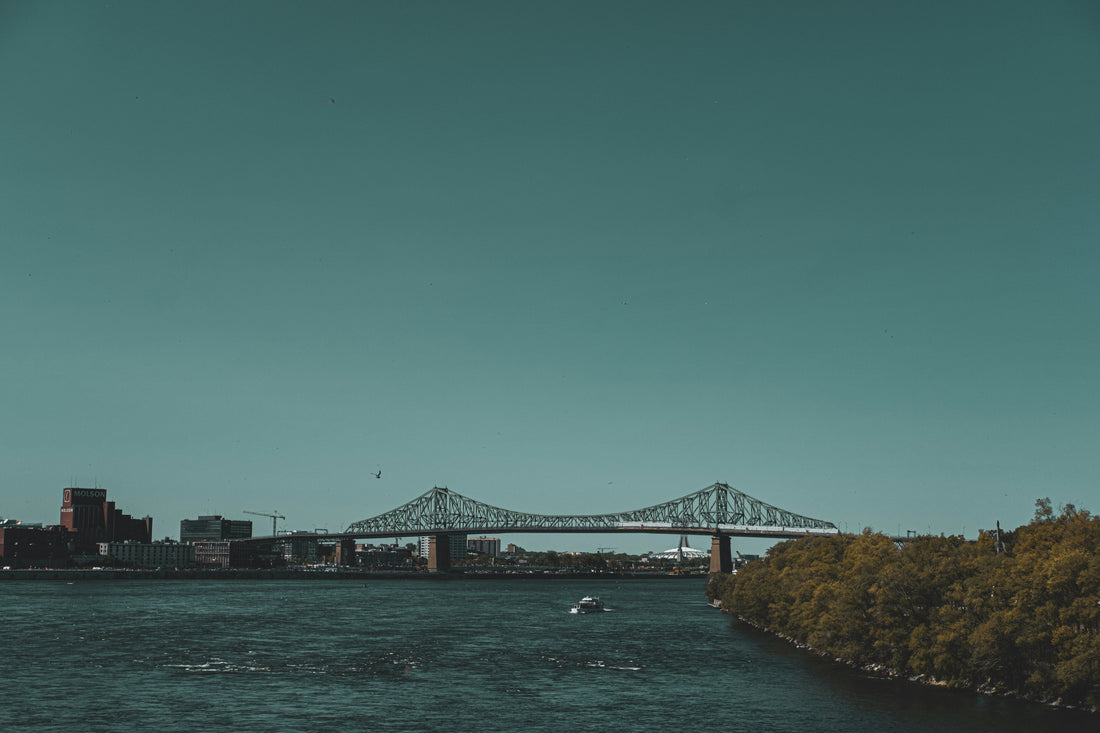 Top and Best TikTok Management Agencies and Companies in Passaic, New Jersey