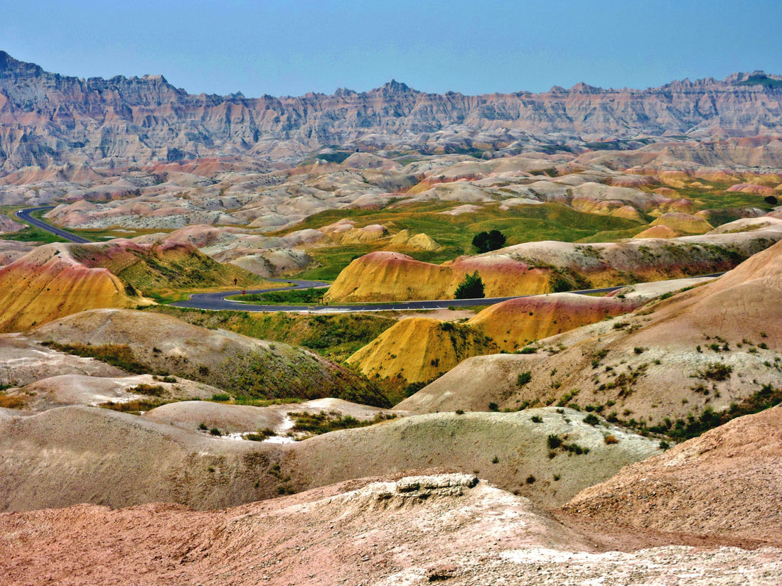 Top and Best Instagram Management Agencies and Companies in Box Elder, South Dakota