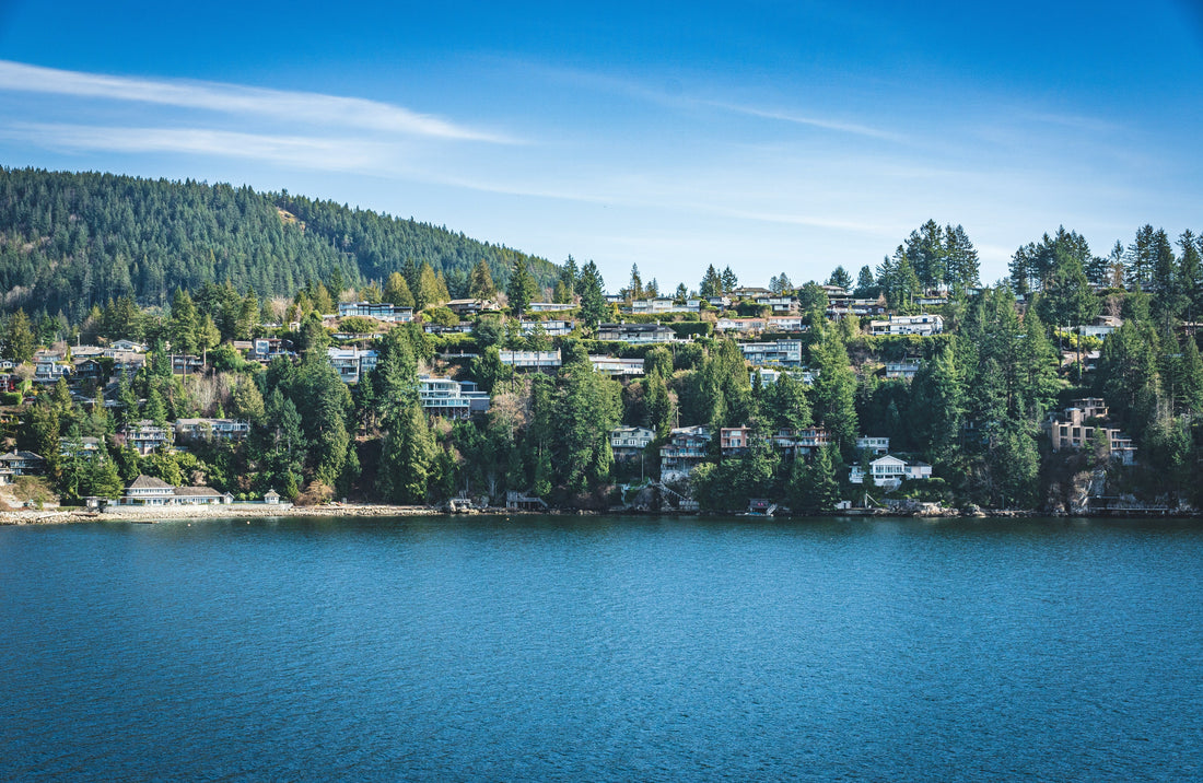 Top or Best Graphic Design Subscription Agencies and Companies in Corvallis, Oregon