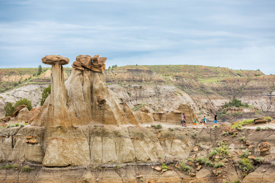 Top or Best NFT Art Agencies and Companies in Sidney, Montana